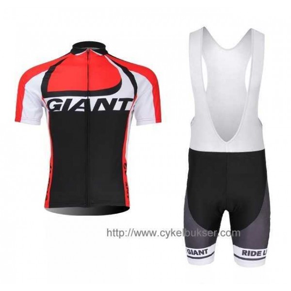 Giant 2014 Race Day Fahrradbekleidung Radteamtrikot Kurzarm+Kurz Radhose Kaufen 6BN2X