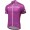 2015 Tour AzerBaidjan Fahrradtrikot Radsport purper GJZAV