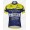 Vini Fantini NIPPO De Rosa Fahrradtrikot Radsport GJU34