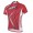 2014 Fox Bike Teams Fahrradtrikot Radsport Rot N00Z4