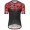 Bioracer Spitfire Fishbone Rot 2018 Fahrradbekleidung Radtrikot M4UGU