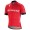 Specialized SL Team Pro Fahrradbekleidung Radtrikot W41YC