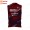 Weiß Israel Start Up Nation Giro d'Italia 2021 Cycling Vest Wind Vest 714 57EAT